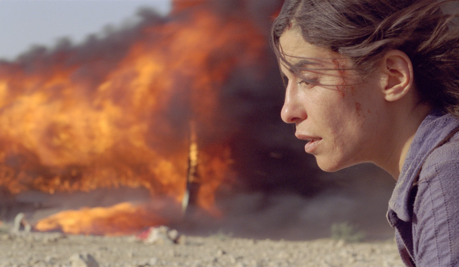 Incendies: A Review