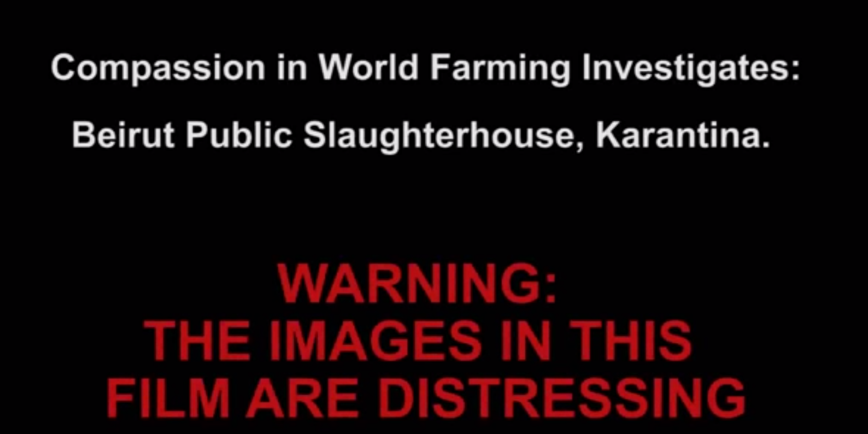CIWF wants to shut down Beirut’s Slaughterhouse